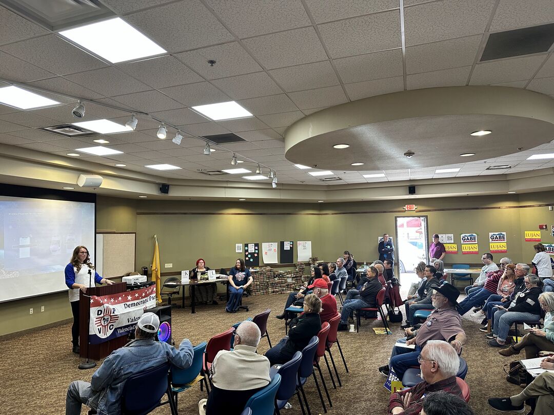 Katherine Gauer speaking at the DPVC preprimary convention.